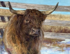 Hamish