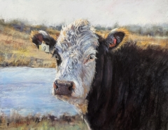 Good Golly Miss Molly