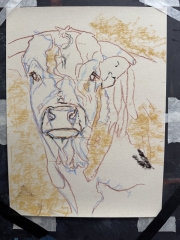 Line Drawing