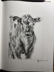 Same Black Calf