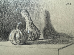 Drawing from Life