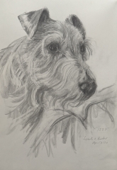 izzy-sketch